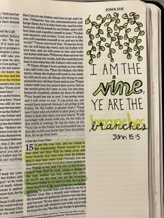 an open bible with the words i am the vine ye are the branches