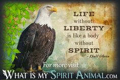 an eagle sitting on top of a tree branch next to a quote about life liberty