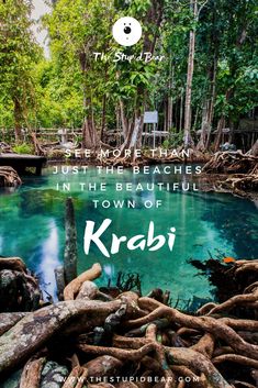 a river surrounded by trees with the words, see more than just the beaches in the beautiful town of krabi