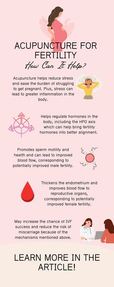 Millions of people suffer from infertility and difficulty conceiving. One practice that has shown some promise is acupuncture for fertility. While the research isn't definitive, many studies find that it could be useful for hormones, stress, IVF, and improving the chance of conception and live births. Read on to learn more and discover if acupuncture might be right for you. Acupuncture For Fertility, Fertility Acupuncture, Acupuncture Fertility, Fertility Tips, Acupuncture Benefits, Ivf Cycle, Ivf Success, How To Regulate Hormones, Female Fertility