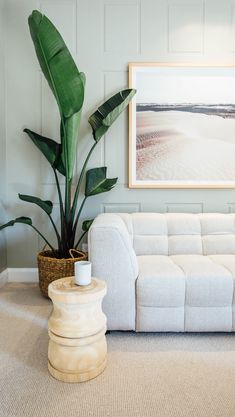 a living room with a white couch and potted plant on the floor in front of it