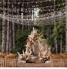 an outdoor ceremony setup with chairs and lights strung from the trees, decorated with pamodia