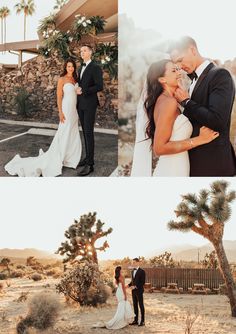 a bride and groom standing in front of a joshua tree