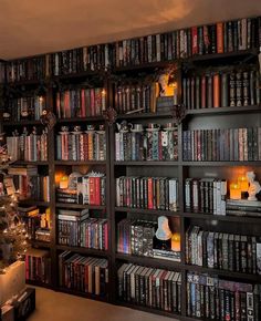 a room filled with lots of books next to a wall covered in christmas decorations and lights