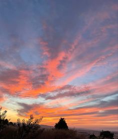 the sky is pink and blue as the sun sets in the distance behind some trees