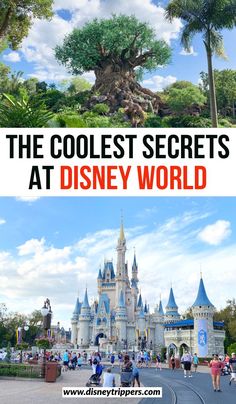 the coolest secrets at disney world