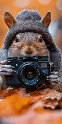 a squirrel is holding a camera and wearing a hat on top of it's head