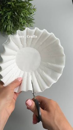 someone cutting paper with scissors on top of a white plate and potted plant in the background