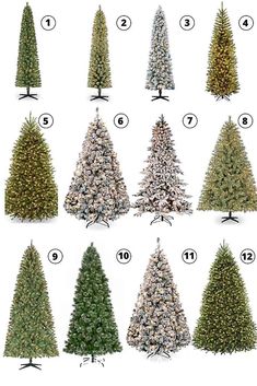 the different types of christmas trees are shown in this image, with numbers on each tree