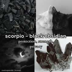 black and white collage with text describing scorpio - black & bisidian protection, strength, privacy