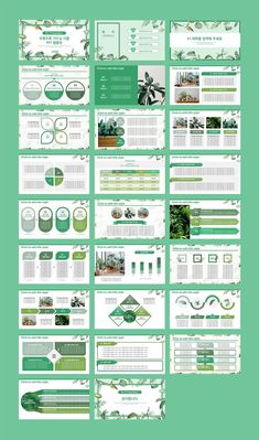 a green and white brochure with lots of different things on it's side