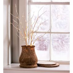 a potted plant sitting on top of a window sill next to a plate