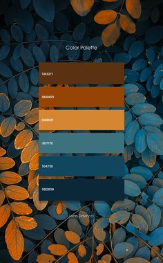 the color palette is blue, orange and brown with some leaves on top of it