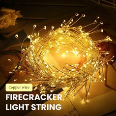 a light string that is on top of a book with the words copper wire firecracker