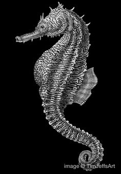 a black and white drawing of a seahorse on a black background with the words