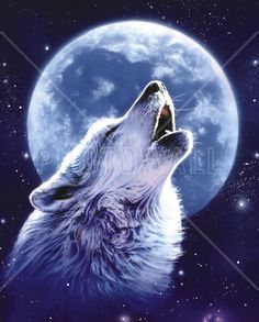 a wolf howling at the moon with its mouth open