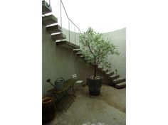 a small tree in a pot next to a set of stairs and table with chairs