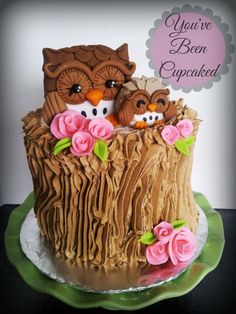 there is a cake decorated with an owl and two birds