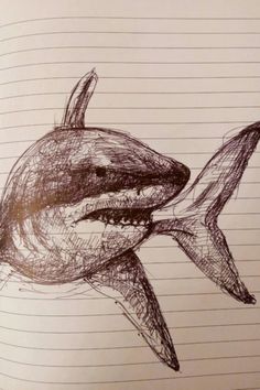 a drawing of a shark with it's mouth open