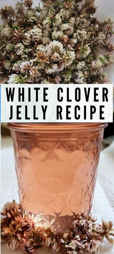 a potted plant with white flowers in it and the words white clover jelly recipe