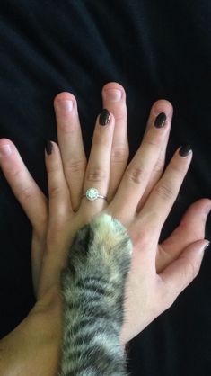 a woman's hands with black and white manicures holding a cat paw