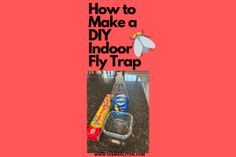 an advertisement with the words how to make a diy indoor fly trap on it