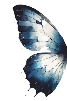 a watercolor painting of a blue and white butterfly with wings spread out, on a white background