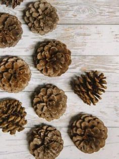 pine cones are arranged on a white wooden surface