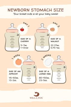 a baby bottle labeled newborn stomach size and how to choose the right one for it