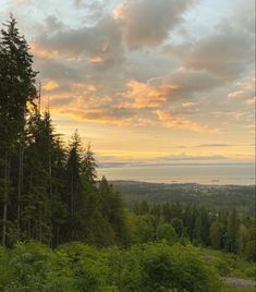 the sun is setting over some trees and water in the distance, as seen from an overlook point