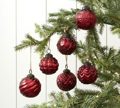 red ornaments hanging from the branches of a christmas tree