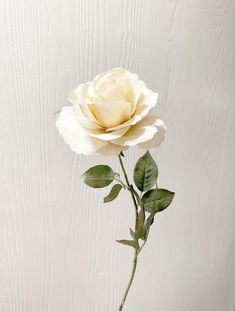 a single white rose is in a vase on a wooden table, against a white painted wall