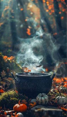 a bowl sitting on top of a forest covered in lots of leaves and pumpkins