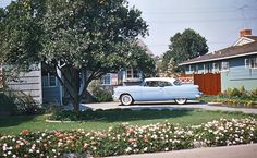 an old blue car parked in front of a tree and some flowers on the grass