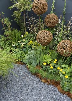 an outdoor garden with plants, rocks and balls on the ground in front of a blue wall