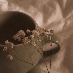 some flowers are in a vase on a white cloth covered tablecloth with the light coming from behind it