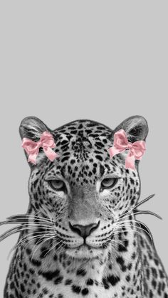 a leopard with pink bows on its head