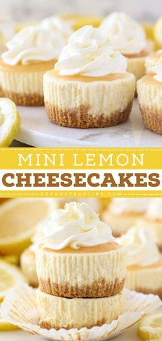 Turn to this mini cheesecake recipe when you need an easy bite size dessert for parties! Topped with lemon curd and whipped cream, these lemon cheesecake bites are delicious. Everyone will love this mini sweet! Easy Homemade Cheesecake, Mini Lemon Cheesecake, Lemon Oreo, Adorable Desserts, Lemon Cheesecakes, Mini Lemon Cheesecakes, Batch Meals, Mini Sweets, Batch Baking