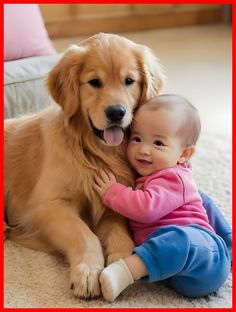 a baby sitting next to a golden retriever