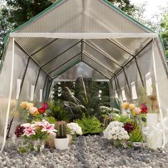 there are many different flowers in the small garden area that is surrounded by rocks and gravel