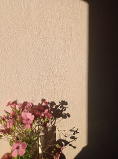 a hand holding a potted plant with pink flowers in it and the shadow of a wall behind it