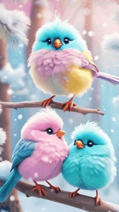 three little birds sitting on top of a tree branch in the snow, one blue and one pink