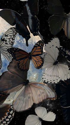 many butterflies flying in the sky together