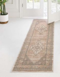 an area rug is on the floor in front of a door with potted plants