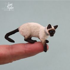 a small toy siamese cat on someone's finger