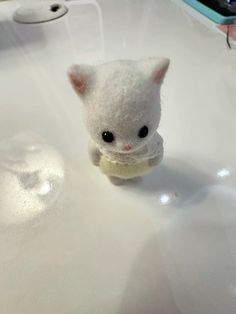 a small white kitten sitting on top of a sink