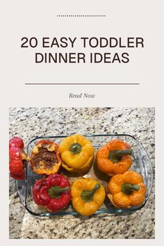 Discover 20 easy and healthy toddler dinner ideas. This image showcases colorful plates filled with nutritious meals that are flavorful and toddler-approved, perfect for mealtime inspiration Toddler Dinner Ideas Healthy, Toddler Friendly Dinners, Easy Toddler Dinner, Mom And Toddler