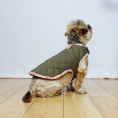 a dog sitting on the floor wearing a jacket