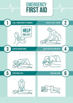 First Aid Poster, First Aid Procedures, Learn Cpr, Cpr Certification, Hand Washing Poster, First Aid For Kids, Health And Safety Poster, First Aid Cpr