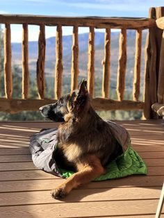 a dog laying on top of a wooden deck